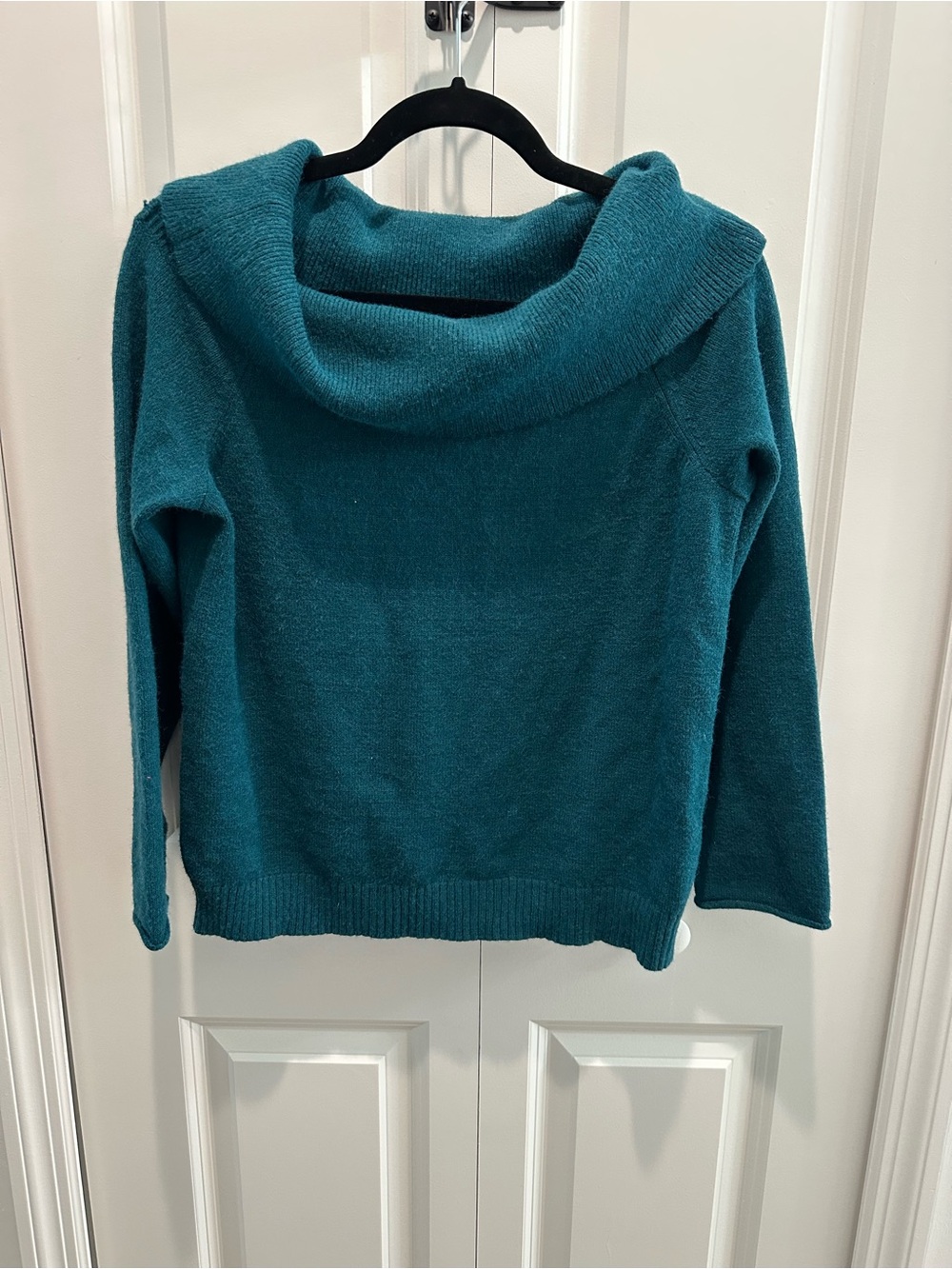 Anthropologie Green Wide Cowl Neck Fall Crop Sweater Size M